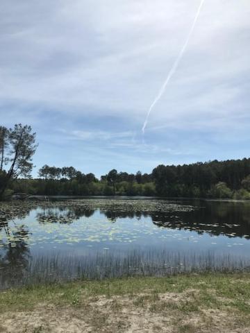 Village Vacances Aux Villages Sous Les Pins ลียง ภายนอก รูปภาพ